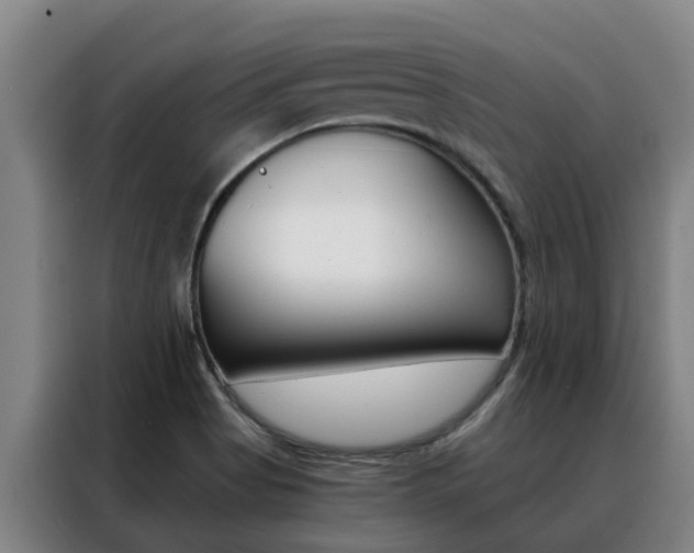 X0000088401513200705220811