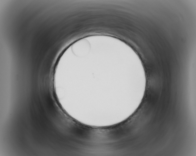 X0000088401514200705220811