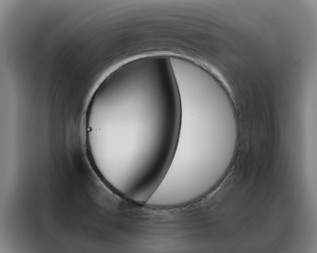X0000088401516200705220811