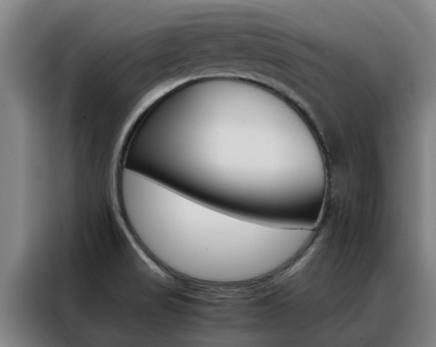 X0000088401517200705220811