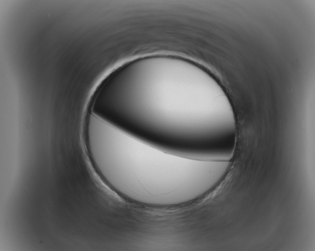 X0000088401518200705220811