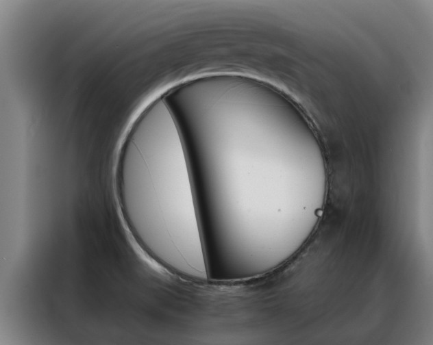 X0000088401519200705220811