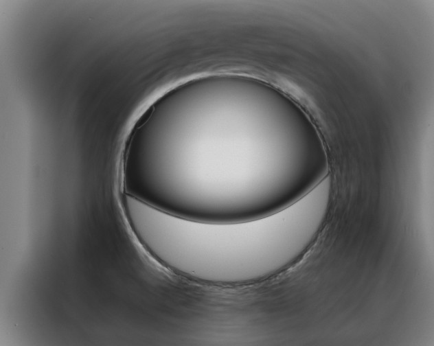 X0000088401520200705220811