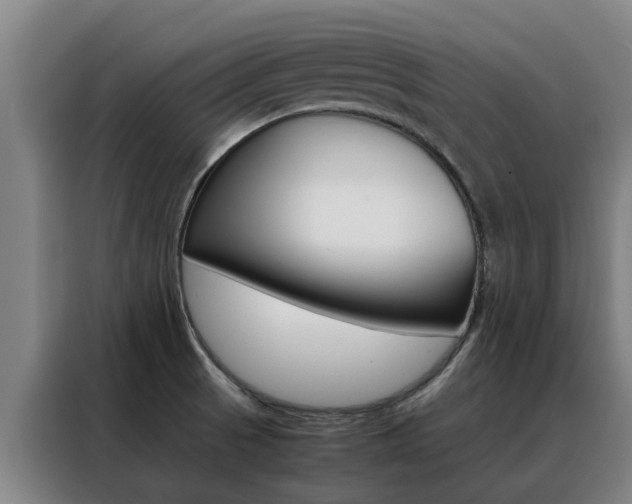 X0000088401521200705220811