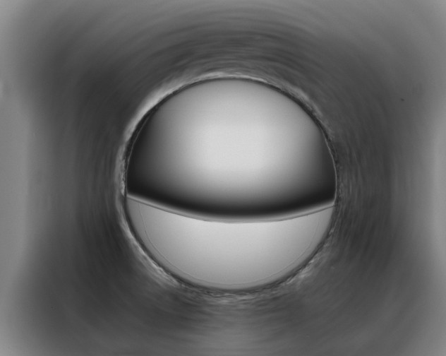 X0000088401522200705220811