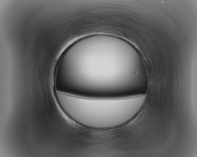 X0000088401523200705220811