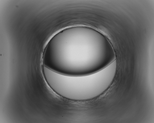 X0000088401524200705220811