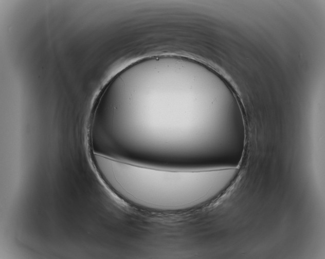 X0000088401525200705220811