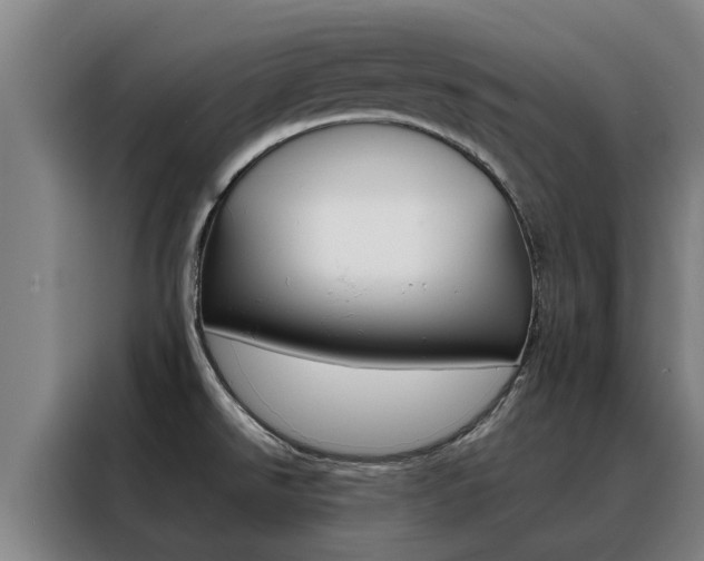 X0000088401526200705220811