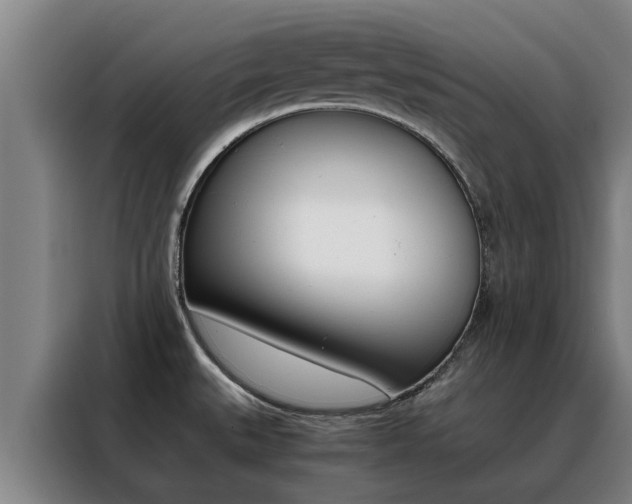 X0000088401527200705220811