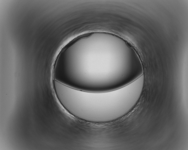 X0000088401528200705220811