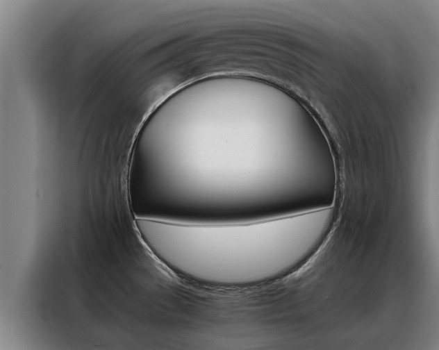 X0000088401529200705220811