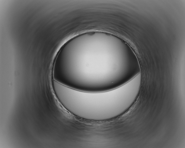 X0000088401530200705220811