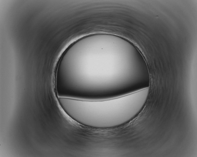 X0000088401531200705220811