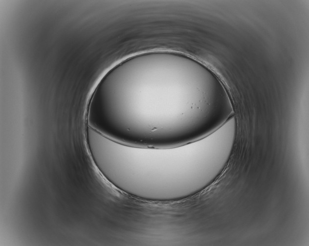 X0000088401532200705220811