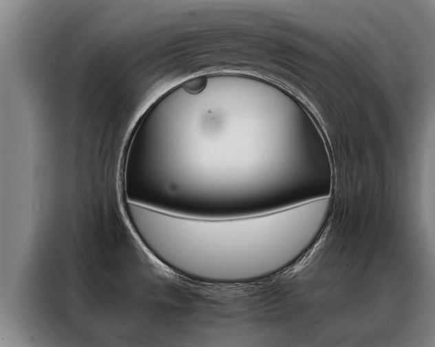 X0000088401533200705220811