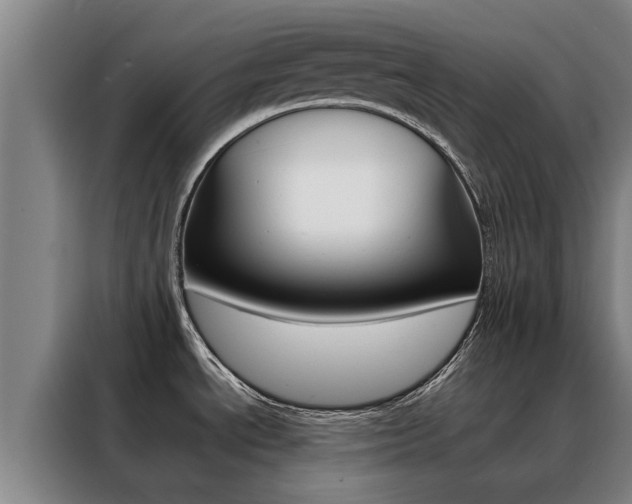 X0000088401534200705220811