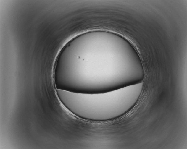 X0000088401535200705220811