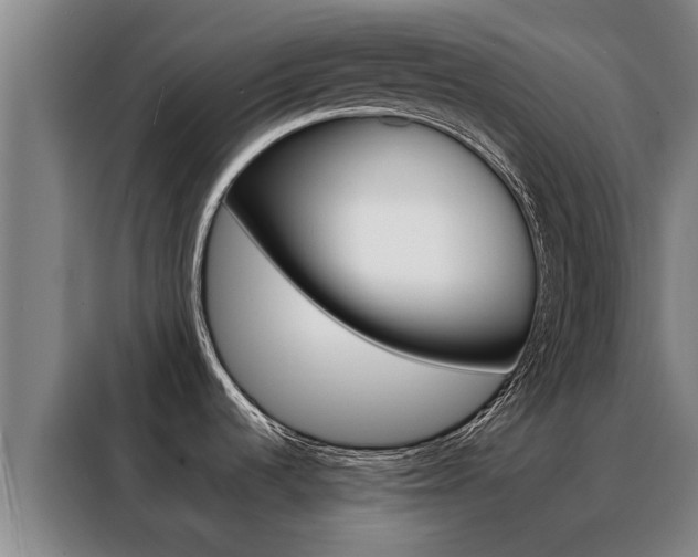 X0000088401536200705220811