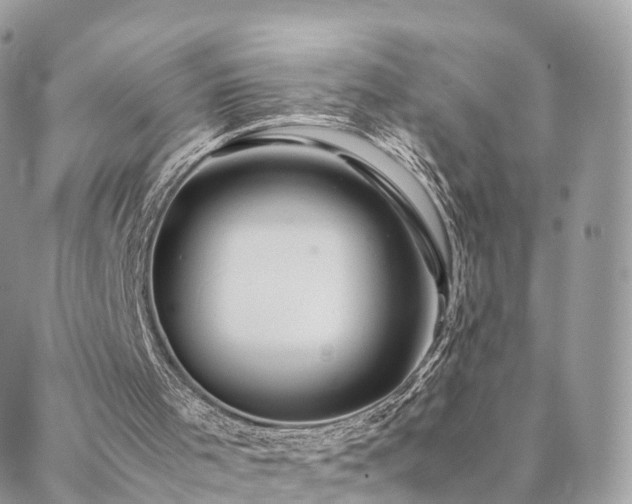 X0000088400001200705221134