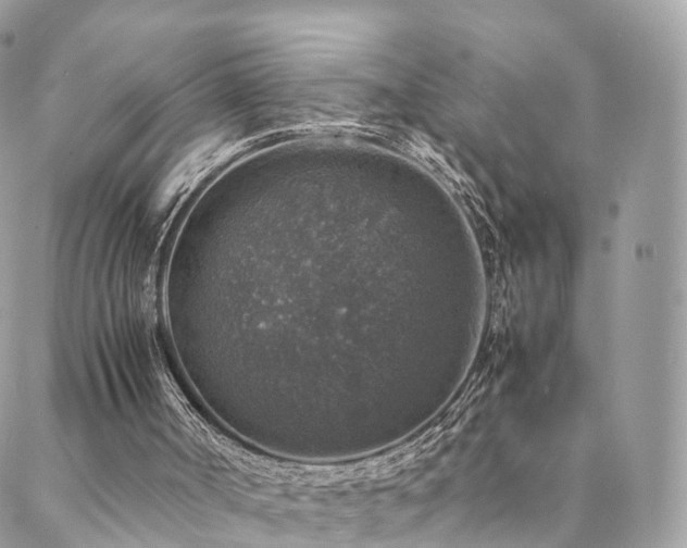 X0000088400002200705221134