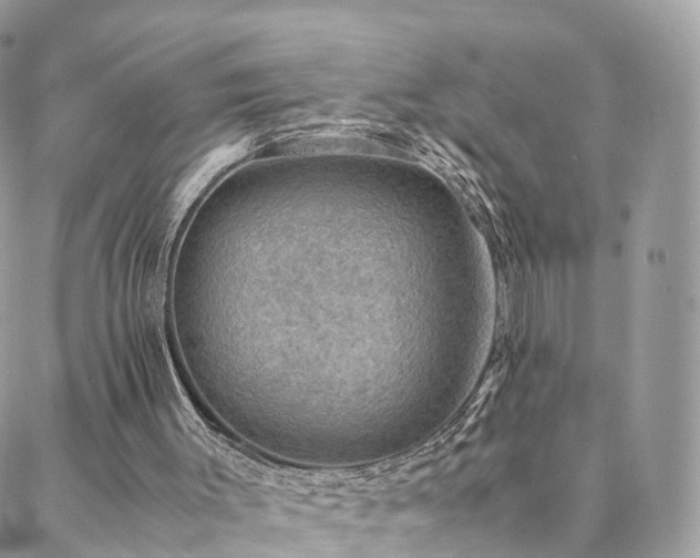 X0000088400003200705221134