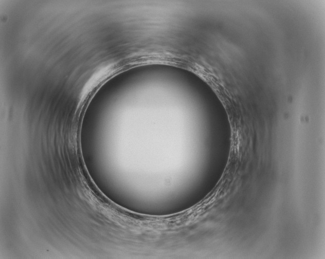 X0000088400004200705221134