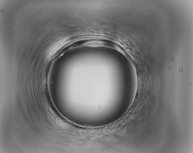 X0000088400005200705221134