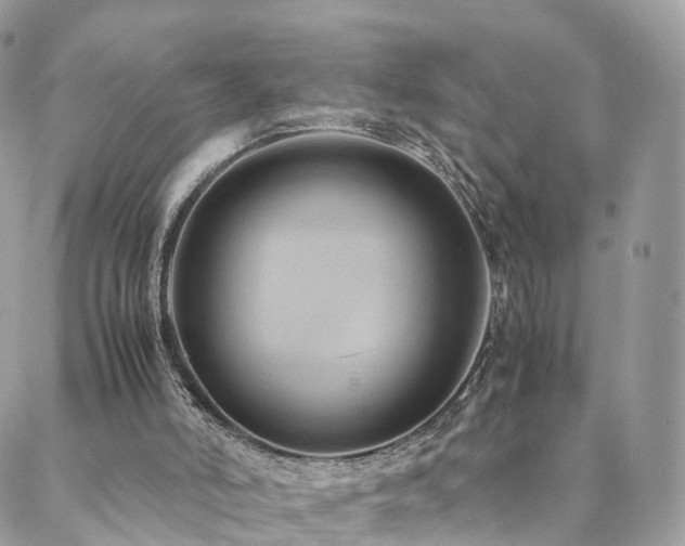 X0000088400006200705221134