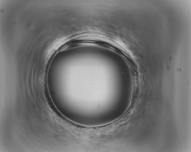 X0000088400007200705221134