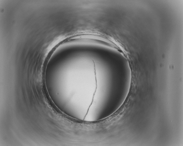 X0000088400008200705221134