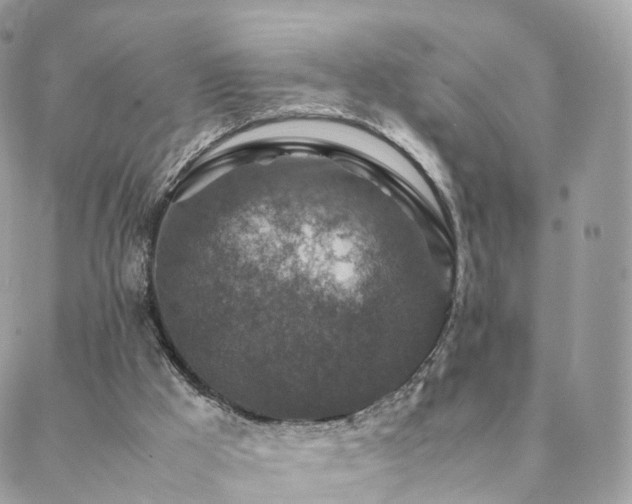 X0000088400009200705221134