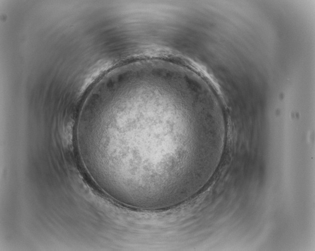 X0000088400010200705221134