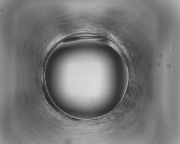 X0000088400011200705221134