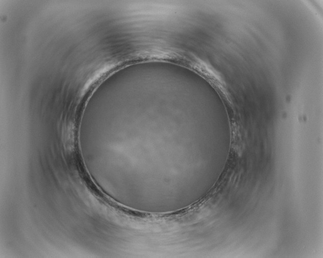 X0000088400012200705221134