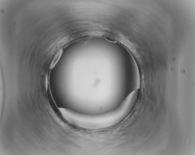 X0000088400013200705221134