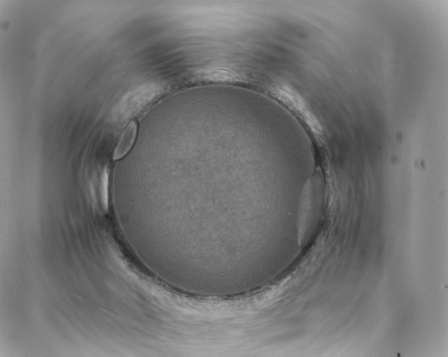 X0000088400014200705221134