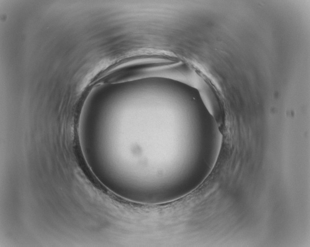 X0000088400015200705221134