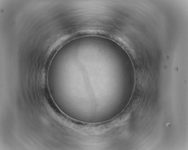 X0000088400016200705221134