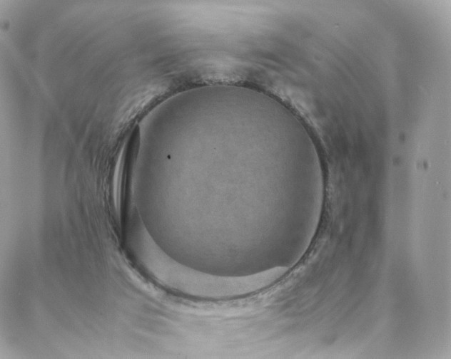 X0000088400017200705221134