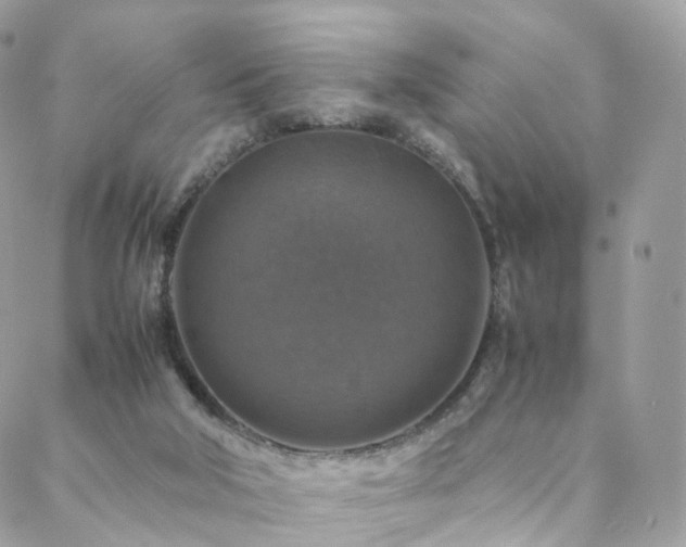 X0000088400018200705221134