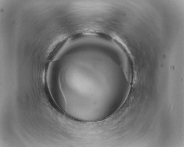 X0000088400019200705221134