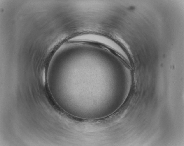 X0000088400020200705221134