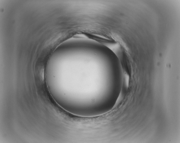 X0000088400021200705221134