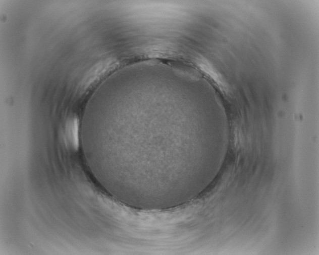 X0000088400022200705221134