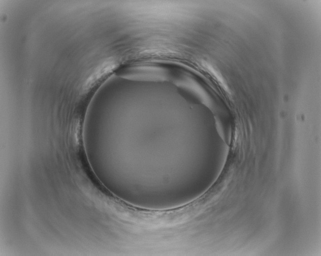 X0000088400023200705221134