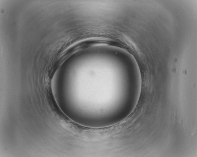 X0000088400025200705221134