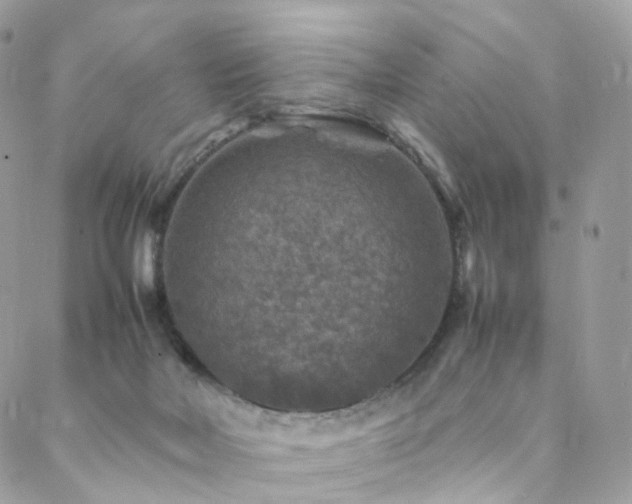 X0000088400026200705221134