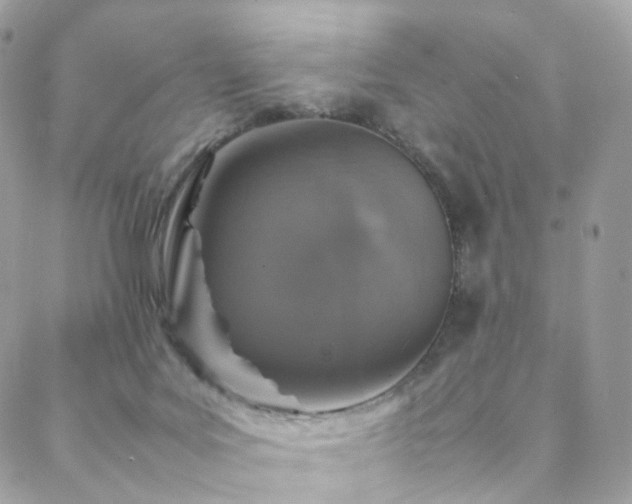 X0000088400027200705221134