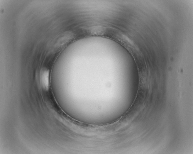 X0000088400028200705221134